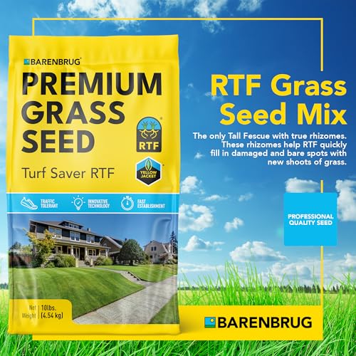 10 LB Tall Fescue Grass Seed S9774