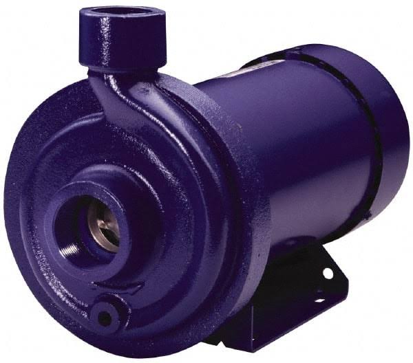 1 HP Cast Iron Centrifugal Pump O541277